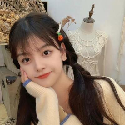 菜鸟总动员