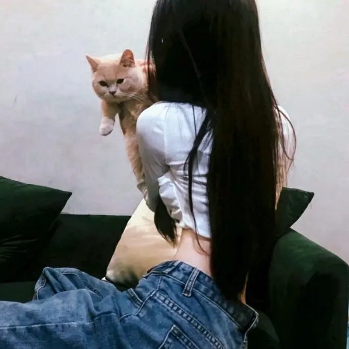 古惑仔2之猛龙过江